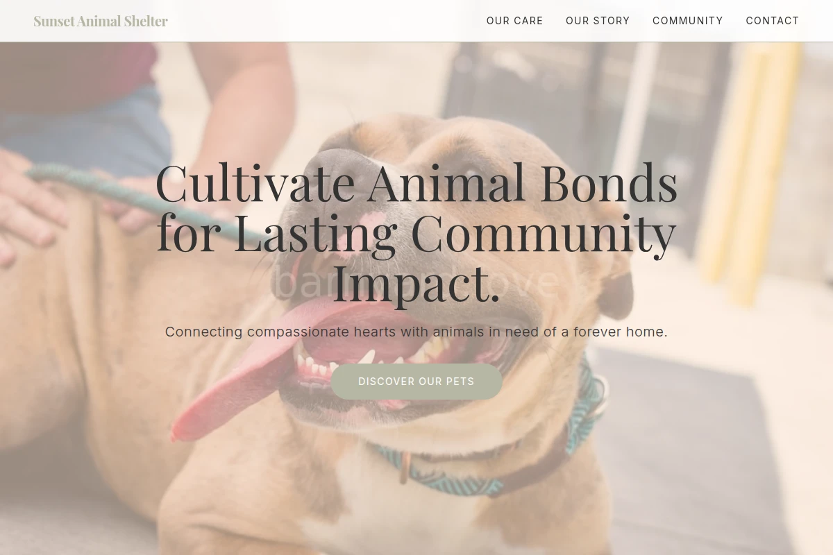 animal-shelter