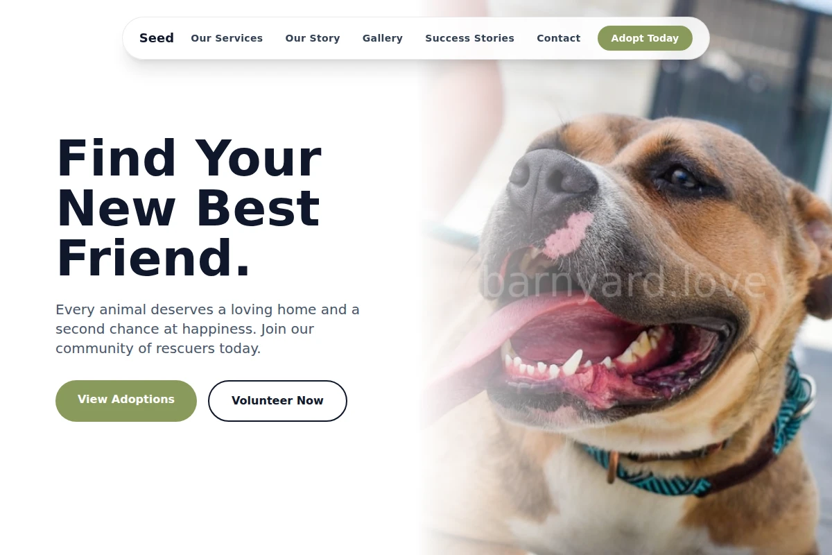 animal-shelter