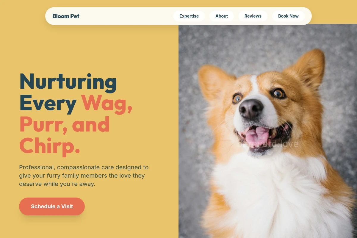 pet-services